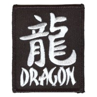 Year of the Dragon patch