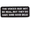 Voices Not Real But have Good Ideas