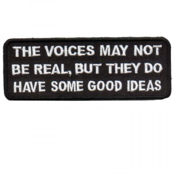 Voices Not Real But have Good Ideas Voices Not Real But have Good Ideas